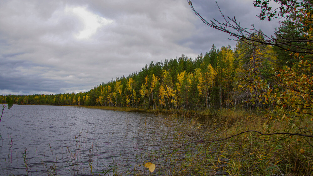 Photo #14176366