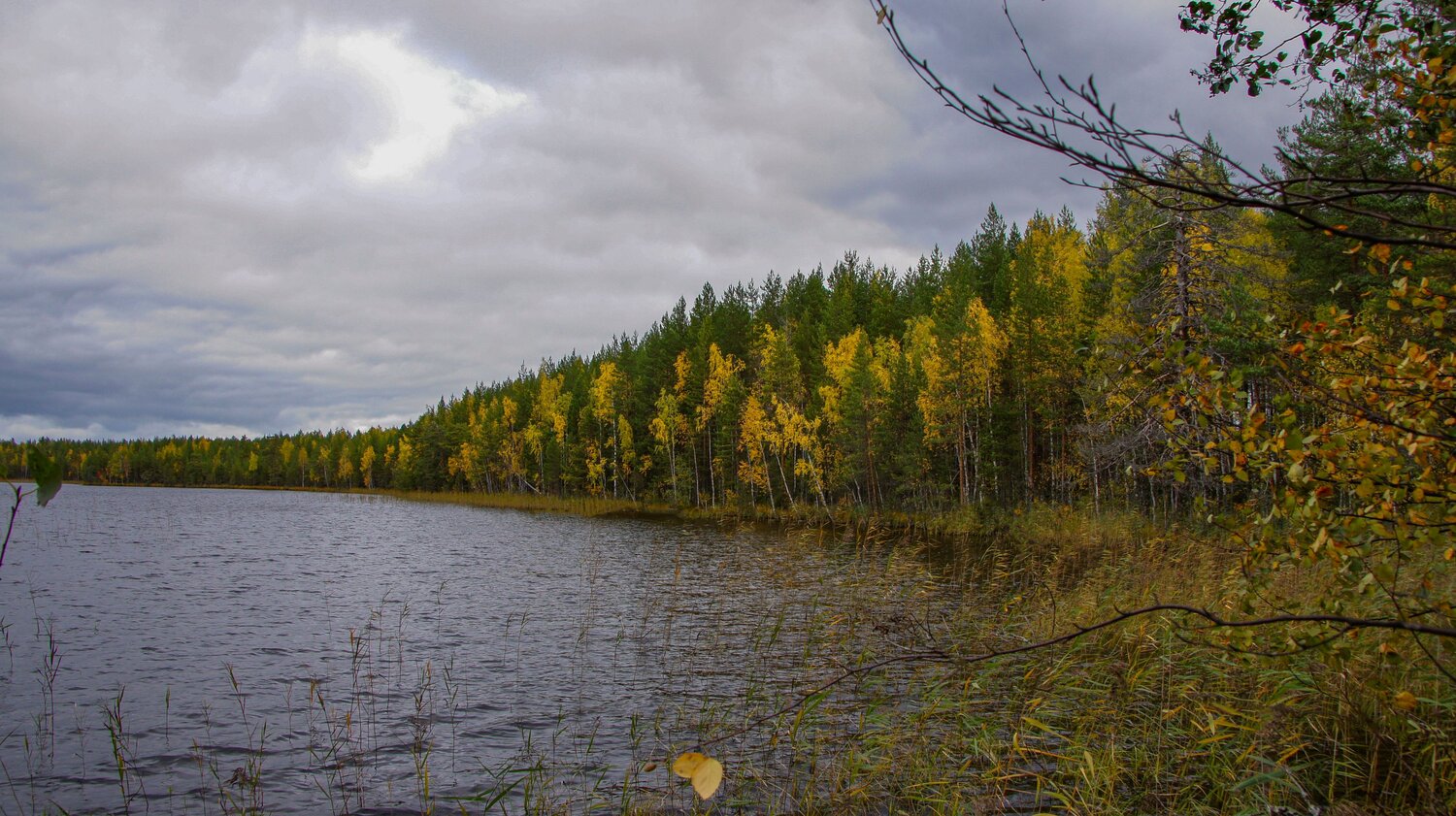 Photo #14176366
