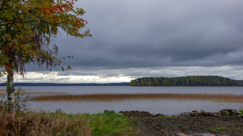 Photo #14176367