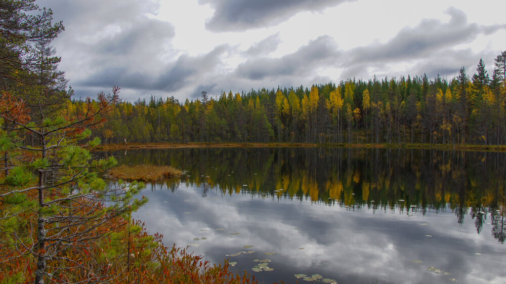 Photo #14176369