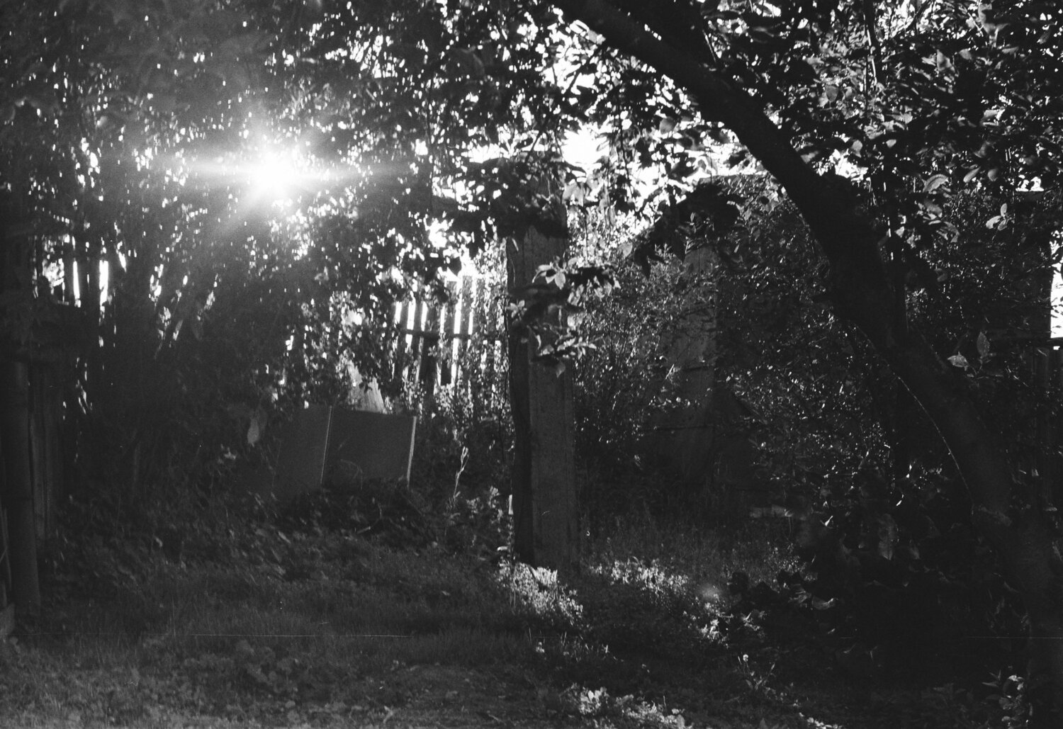 Photo #14176412