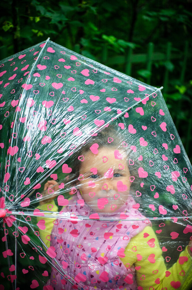 Фотография автора Анастасия Лившиц