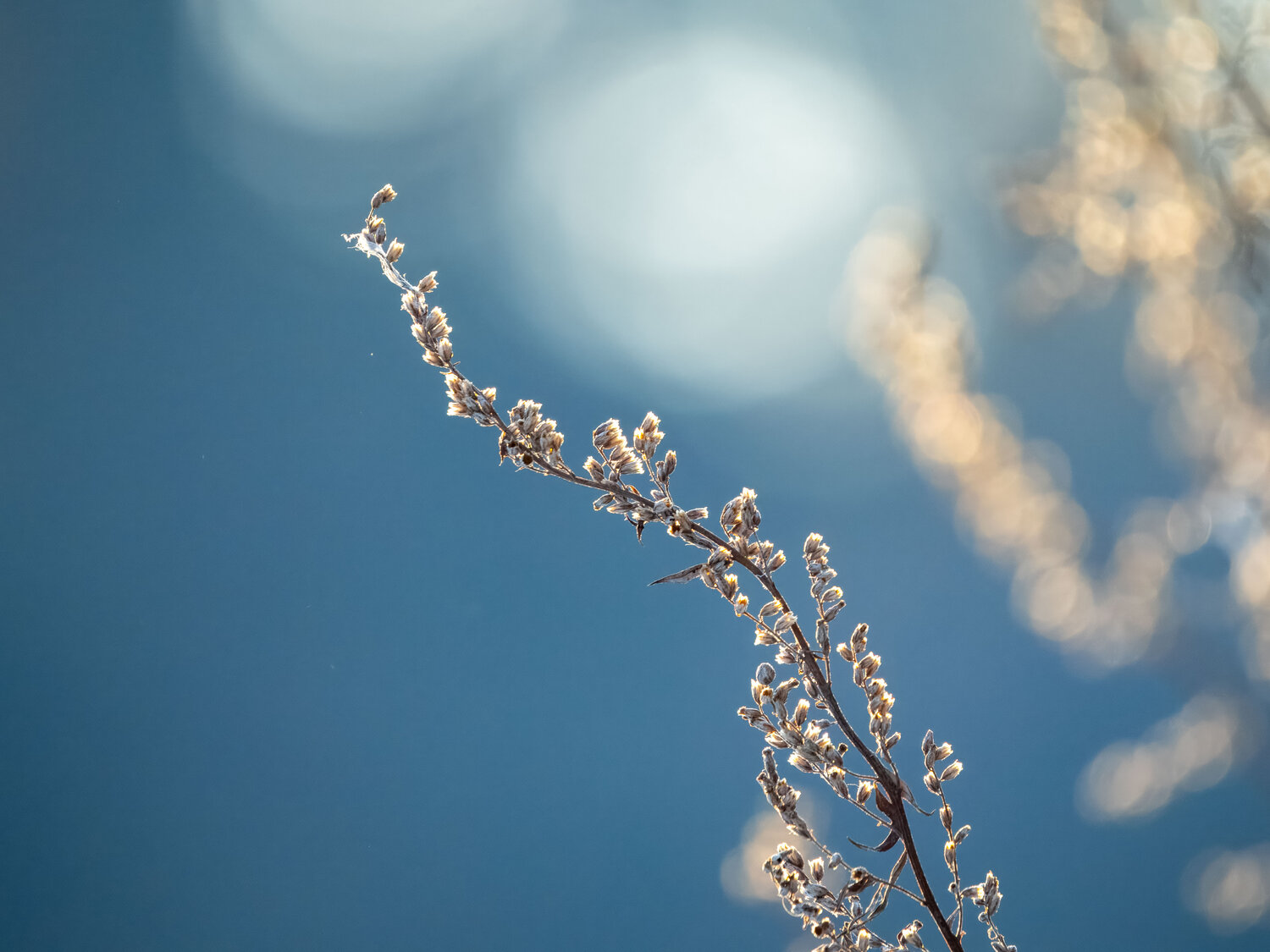 Photo #14176626