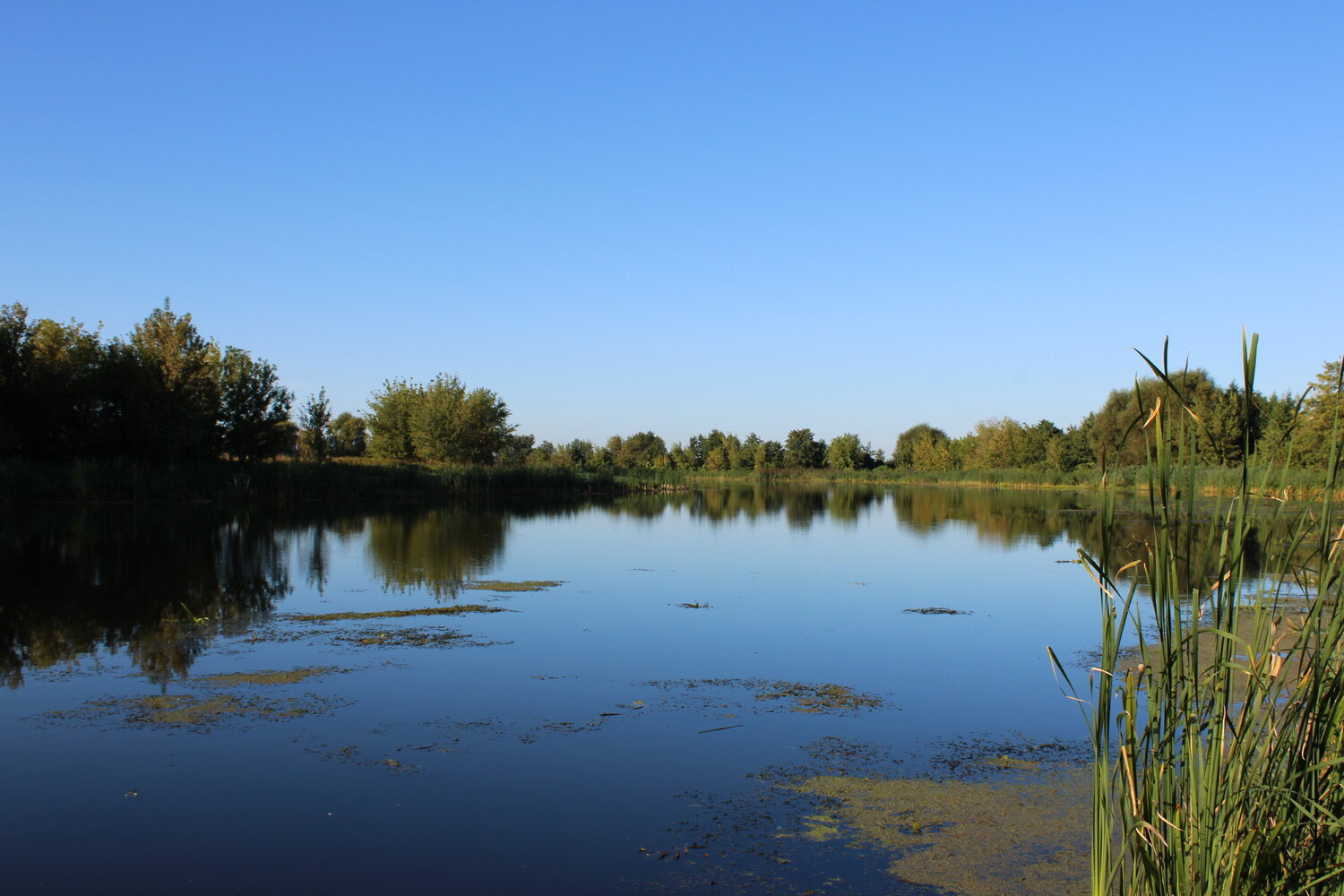 Photo #14176930