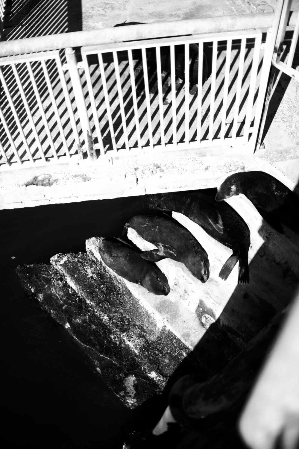 Photo #14177046