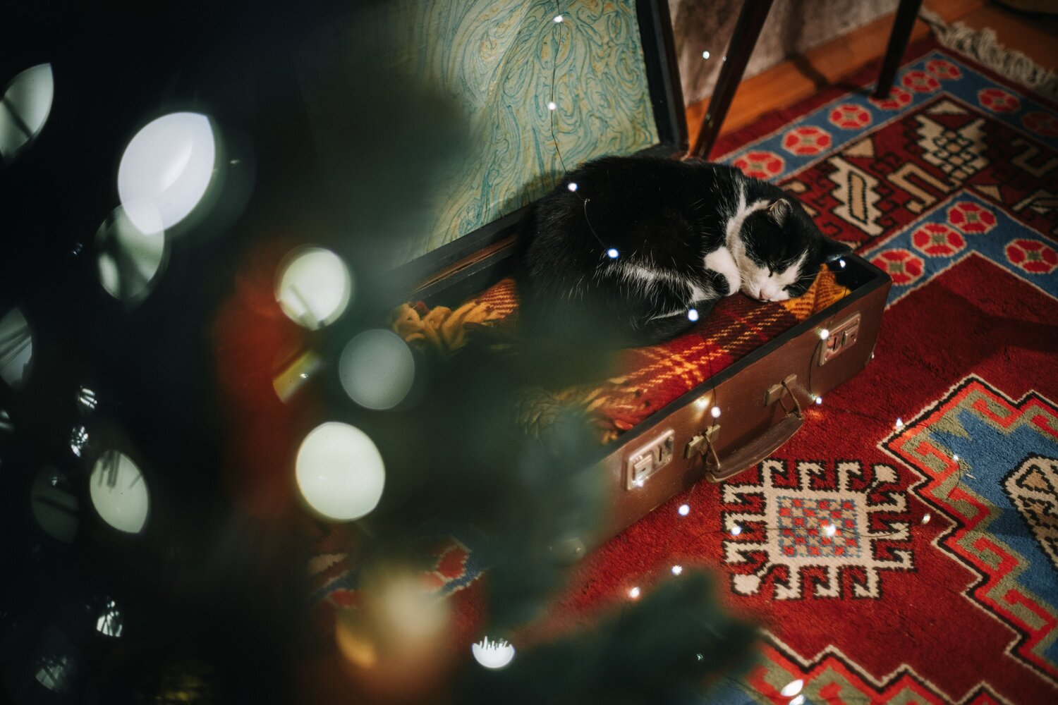 Photo #14177143