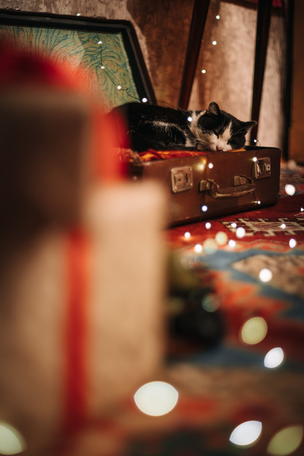 Photo #14177145