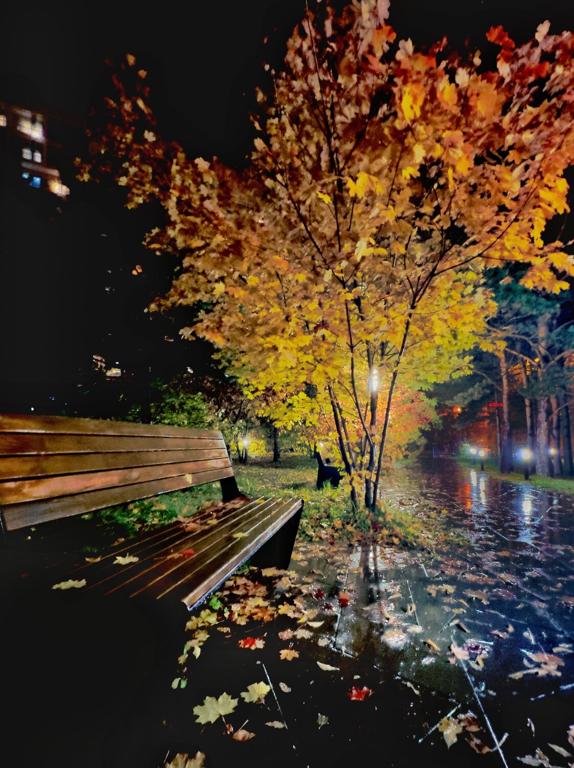 Photo #14177258