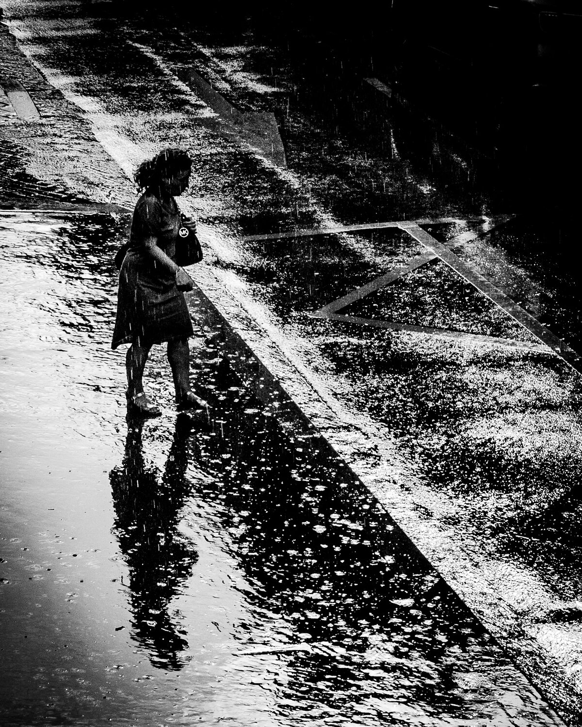Photo #14177290