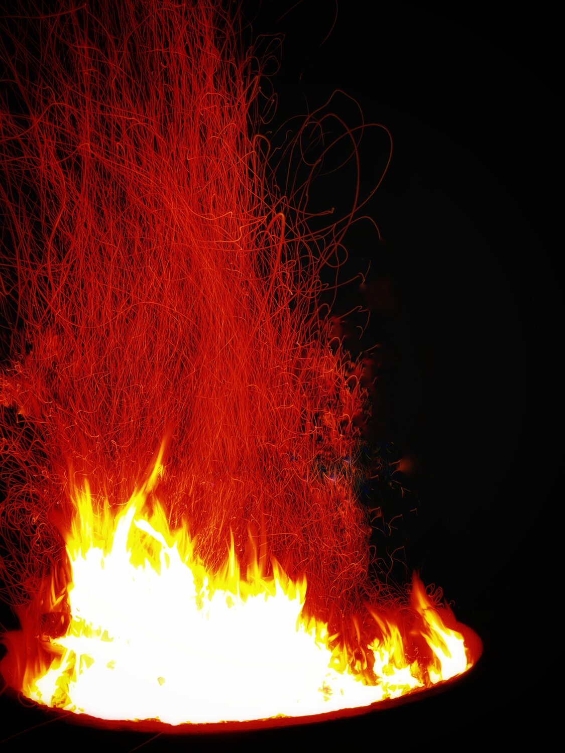 Photo #14177707