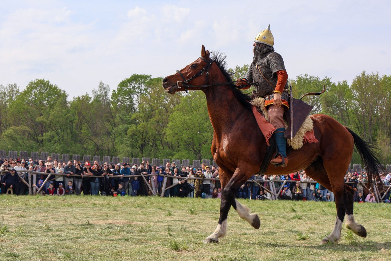 Photo #14177884