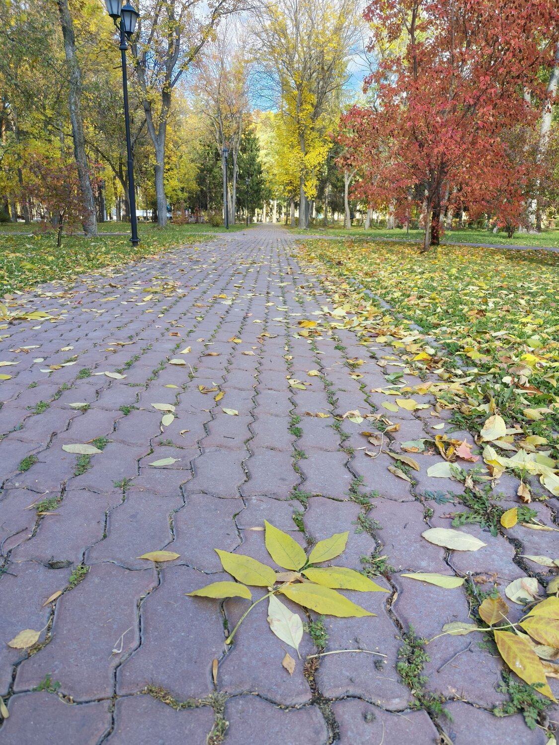 Шаги осени