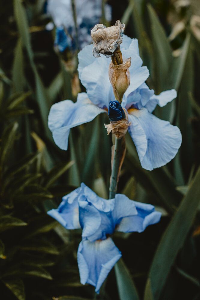 Photograph by Остапенко Алина