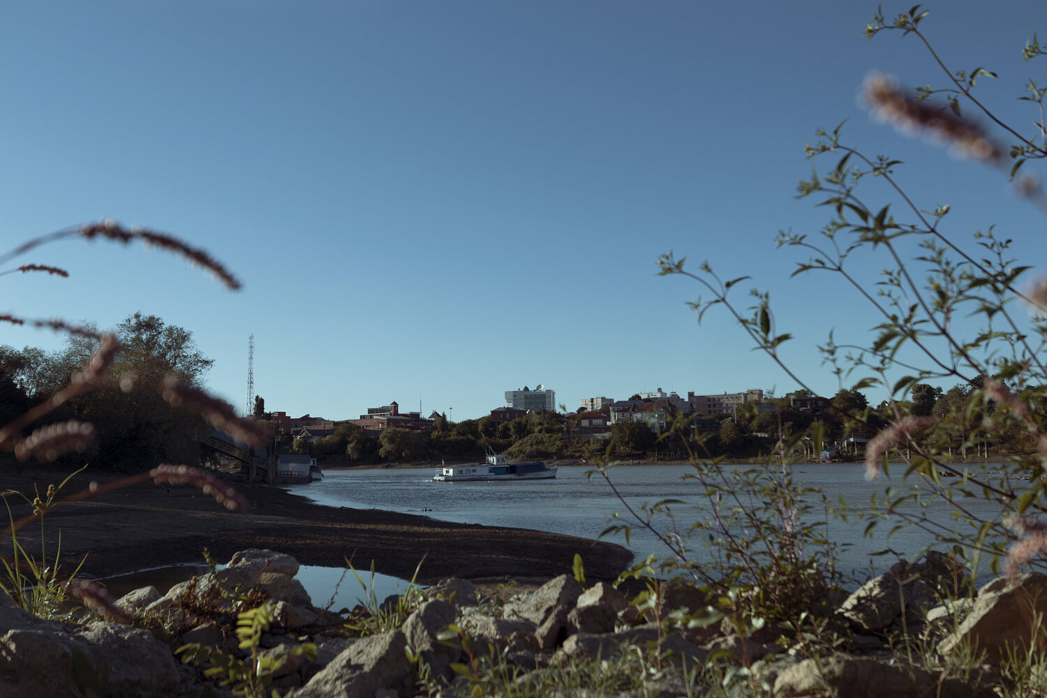 Photo #14178091