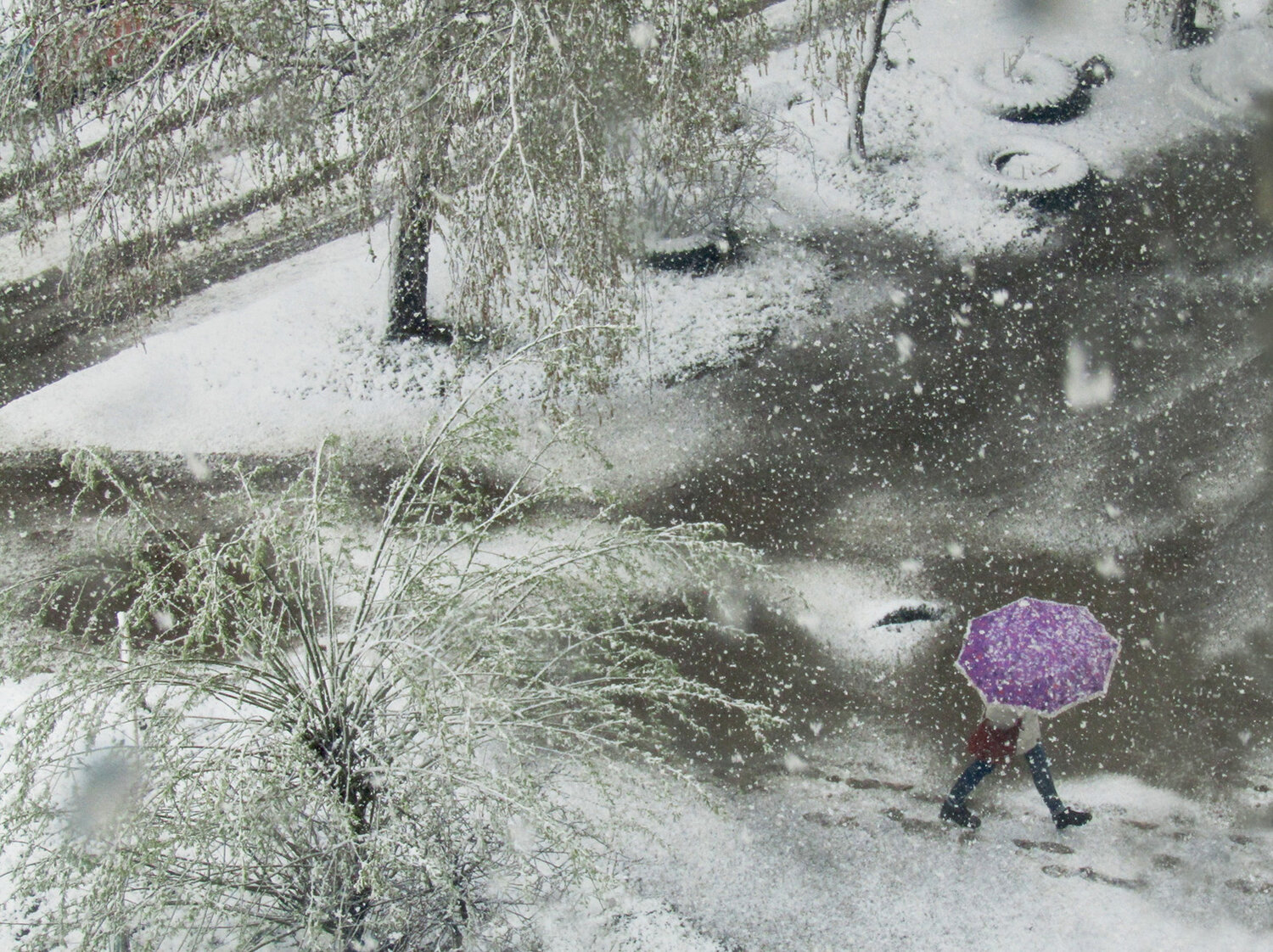 Photo #14178233
