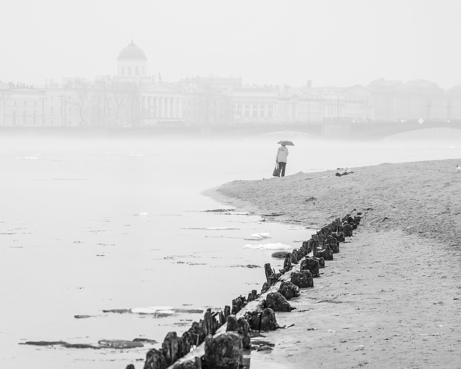 Фотография #14178327