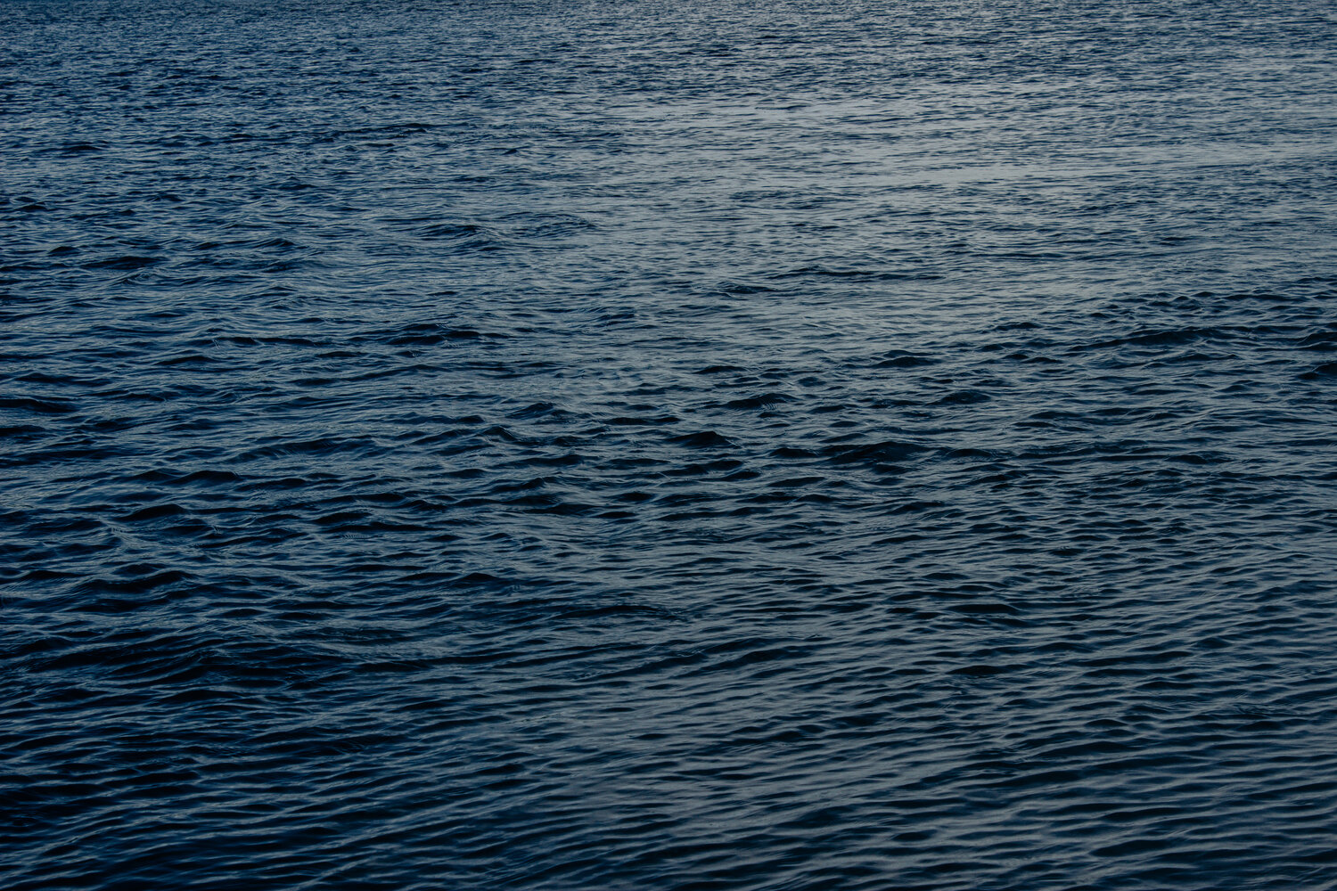 Photo #14178350
