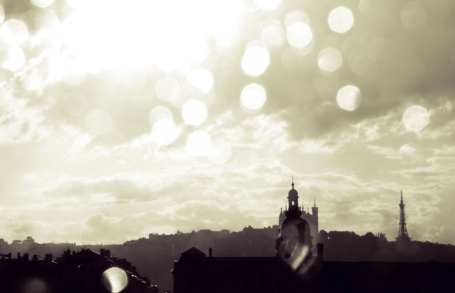 Photo #14178610