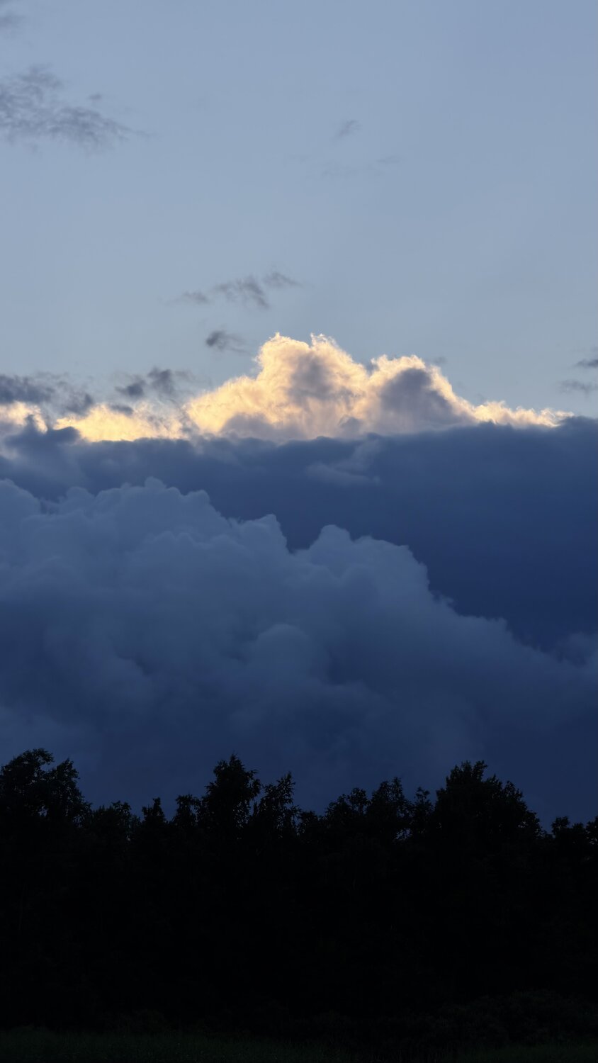 Photo #14178833