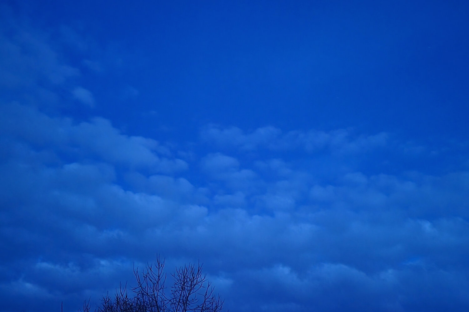 Photo #14178881