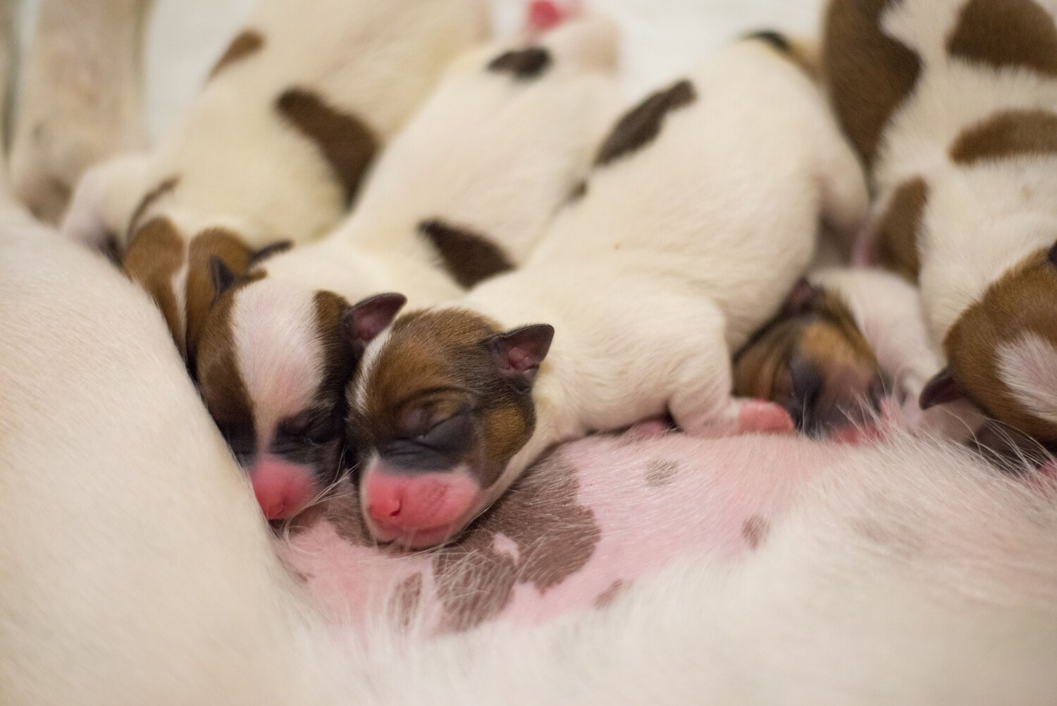Photo #14179478