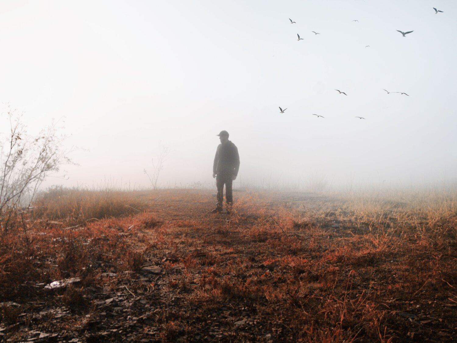 Photo #14179804