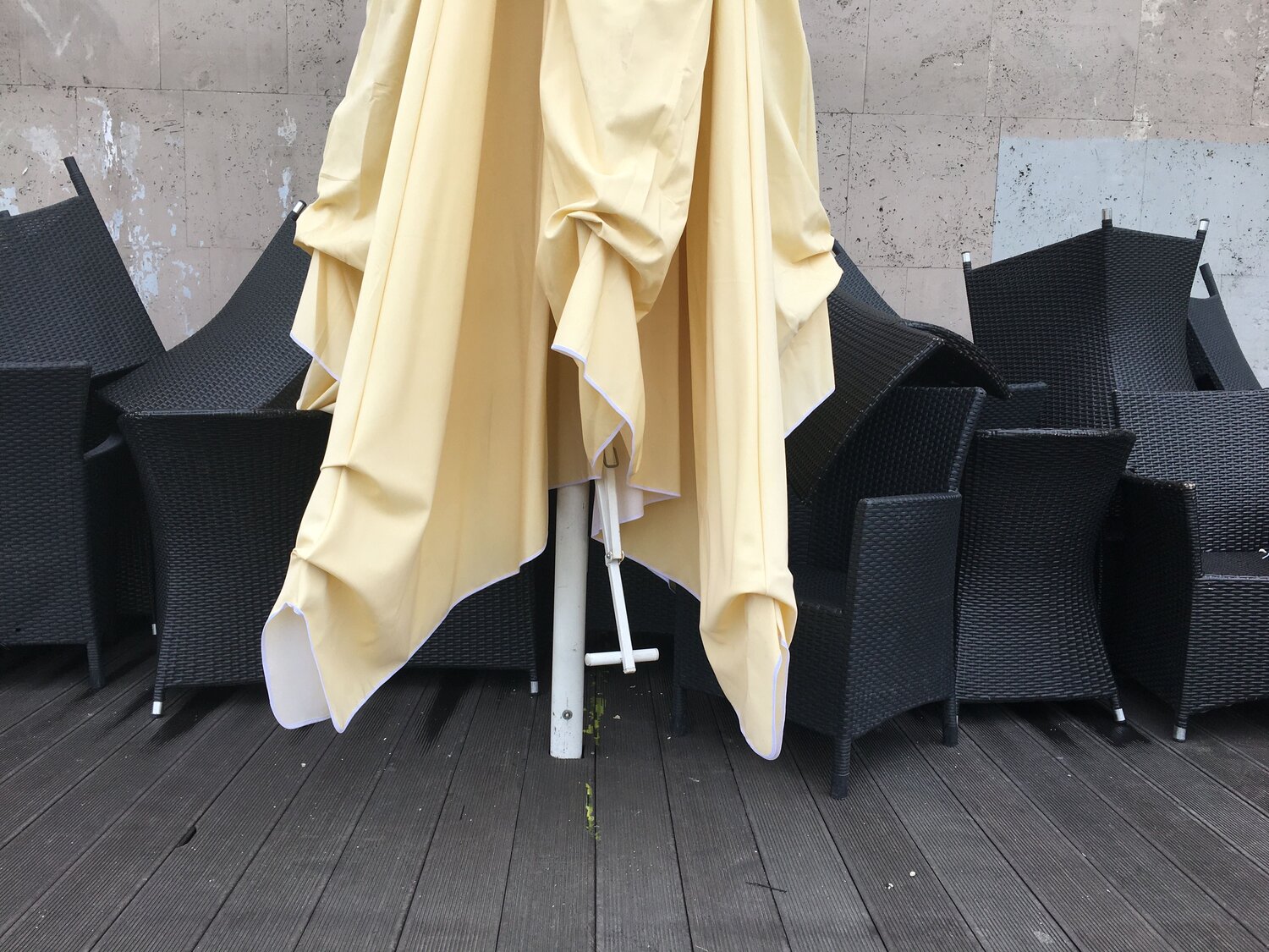 Photo #14179825