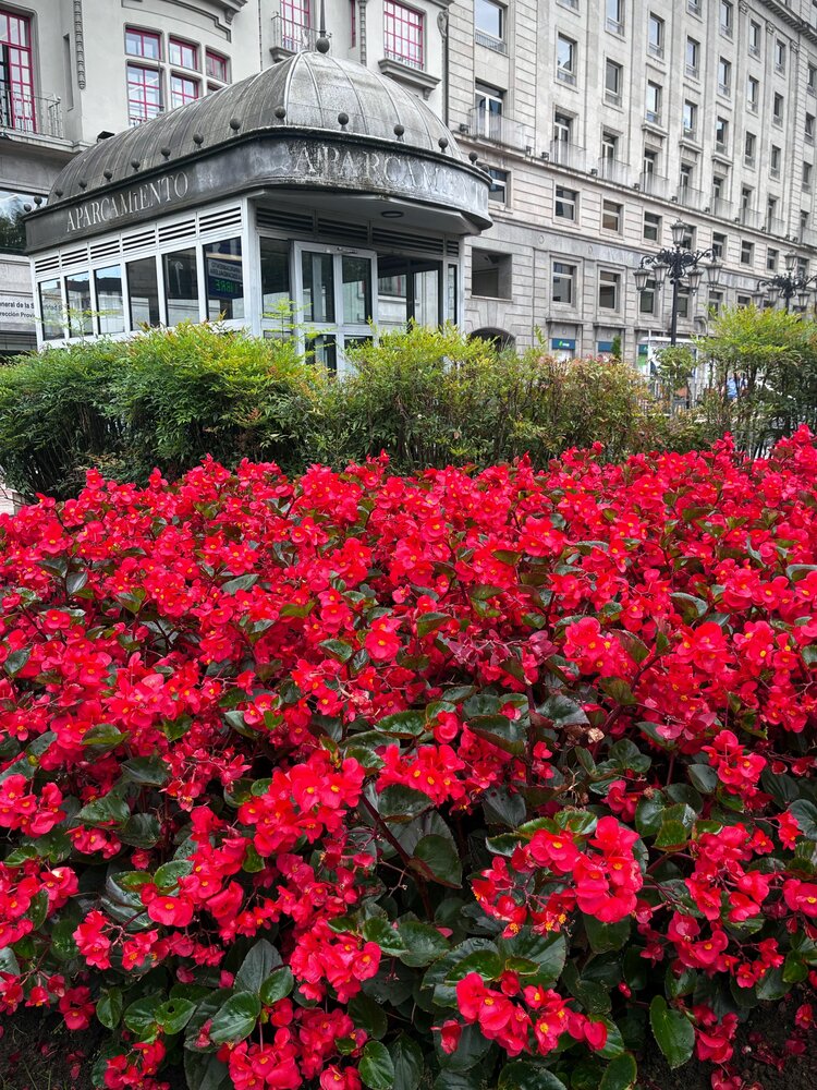 Red urban