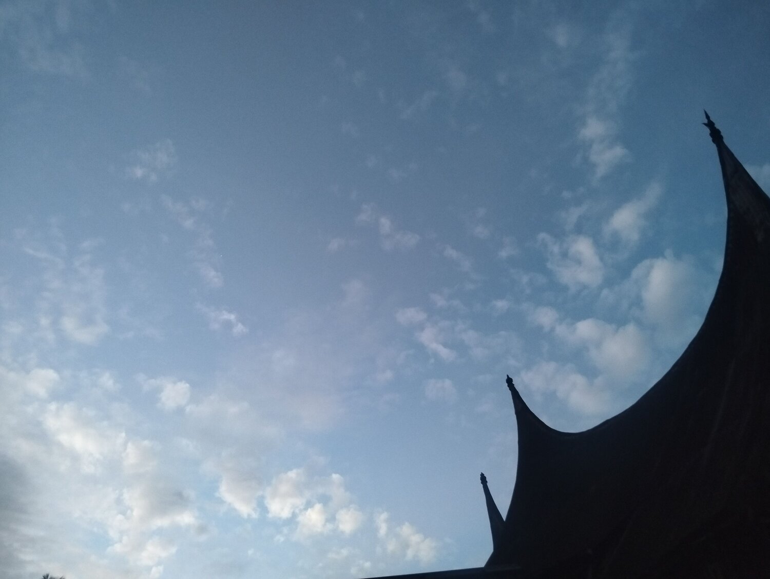 Photo #14179947