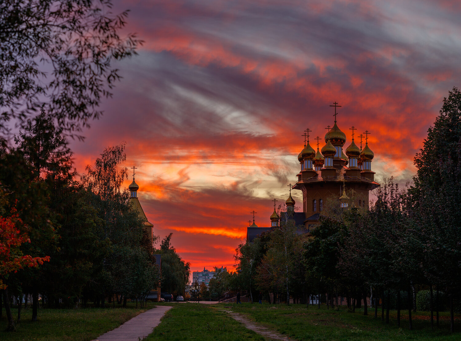 Фотография #14180197