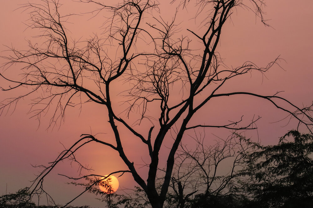 A beautiful sunset in the field