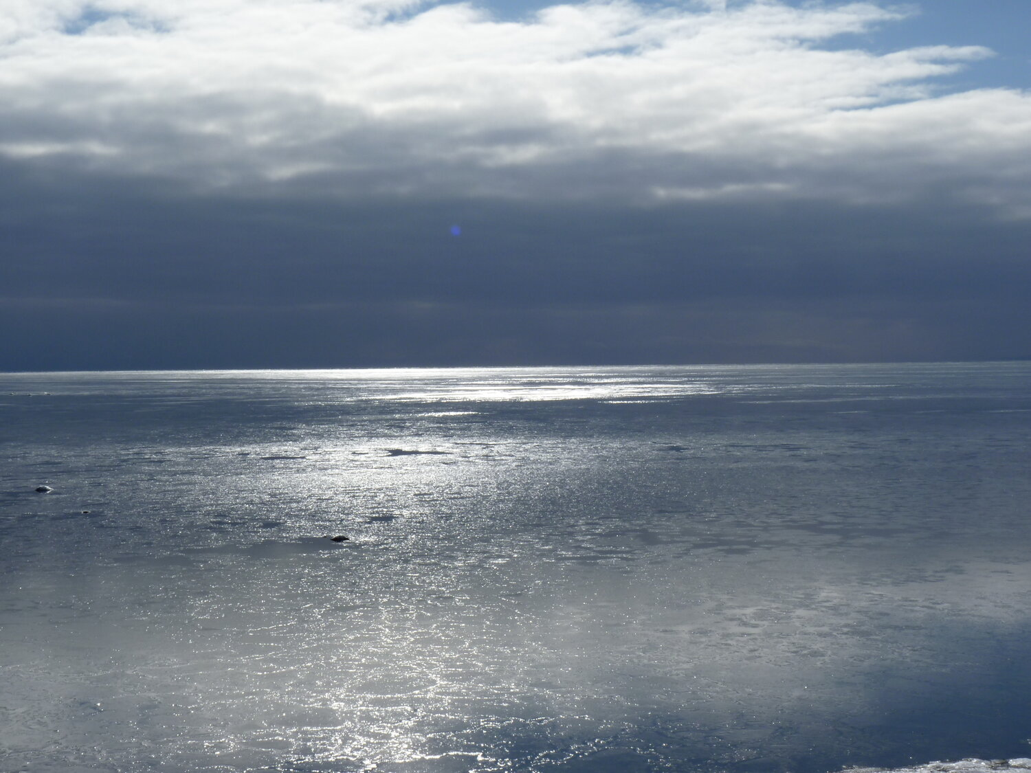 Photo #14180313