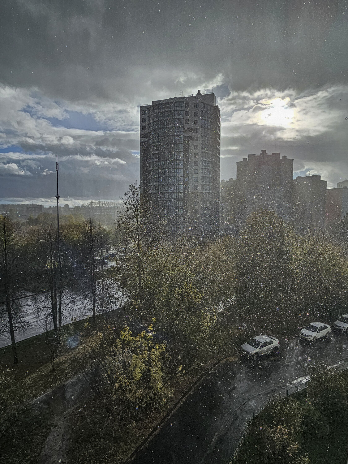 Photo #14180576