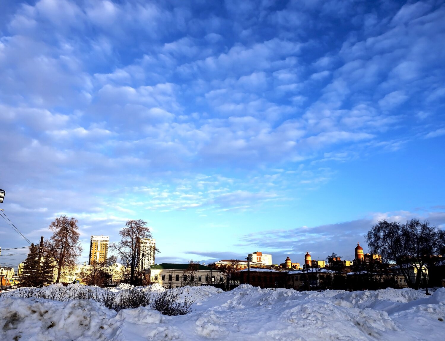 Photo #14180863