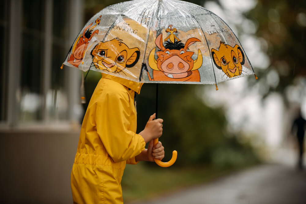 Photograph by Ирина Регульская