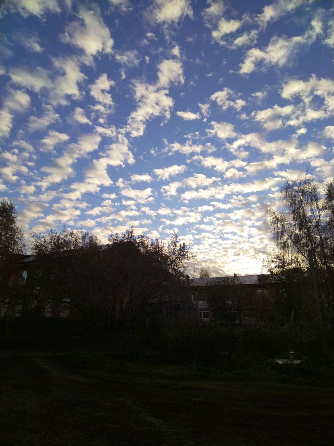 Фотография #14181341
