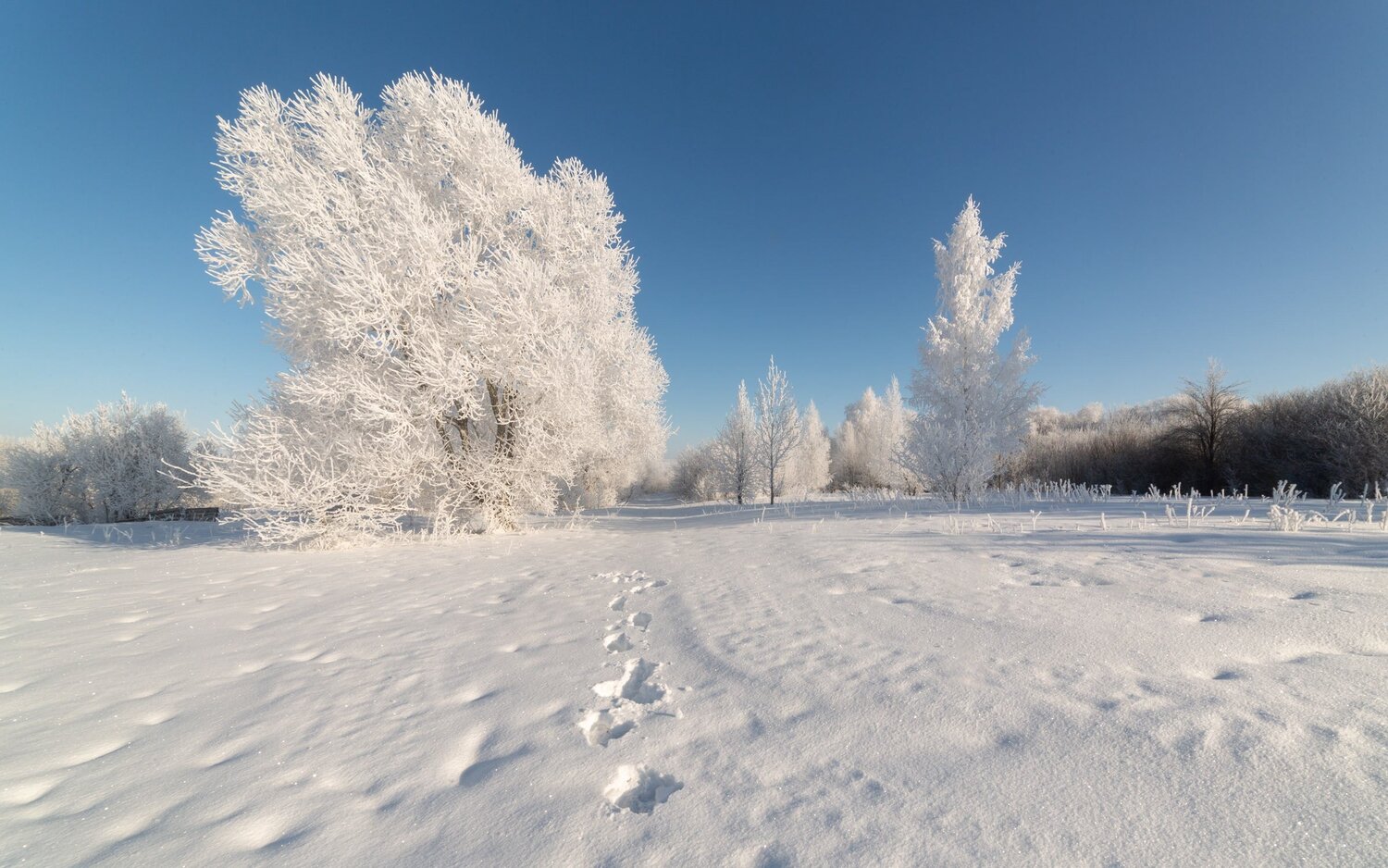 Photo #14182572