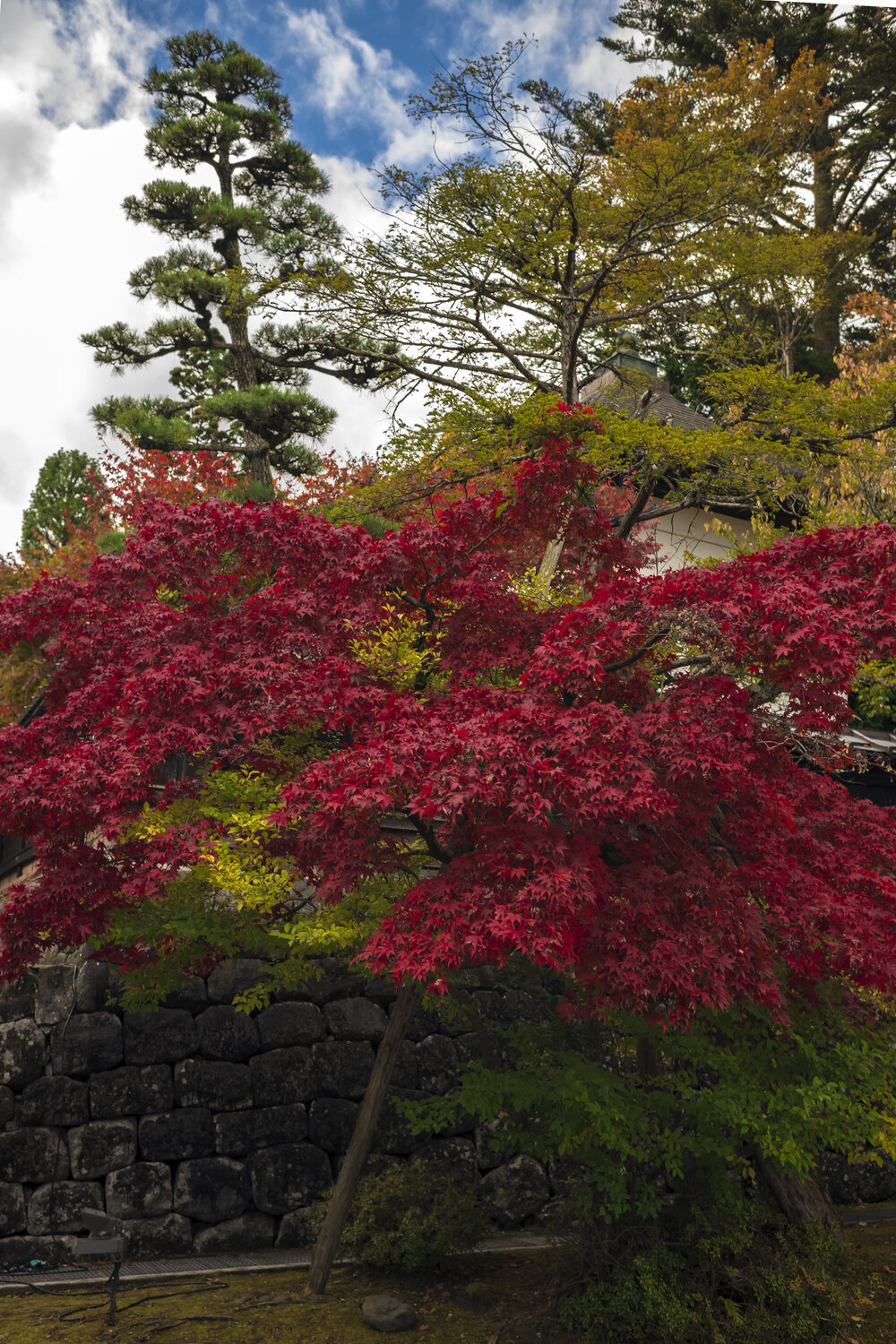 Photo #14182744