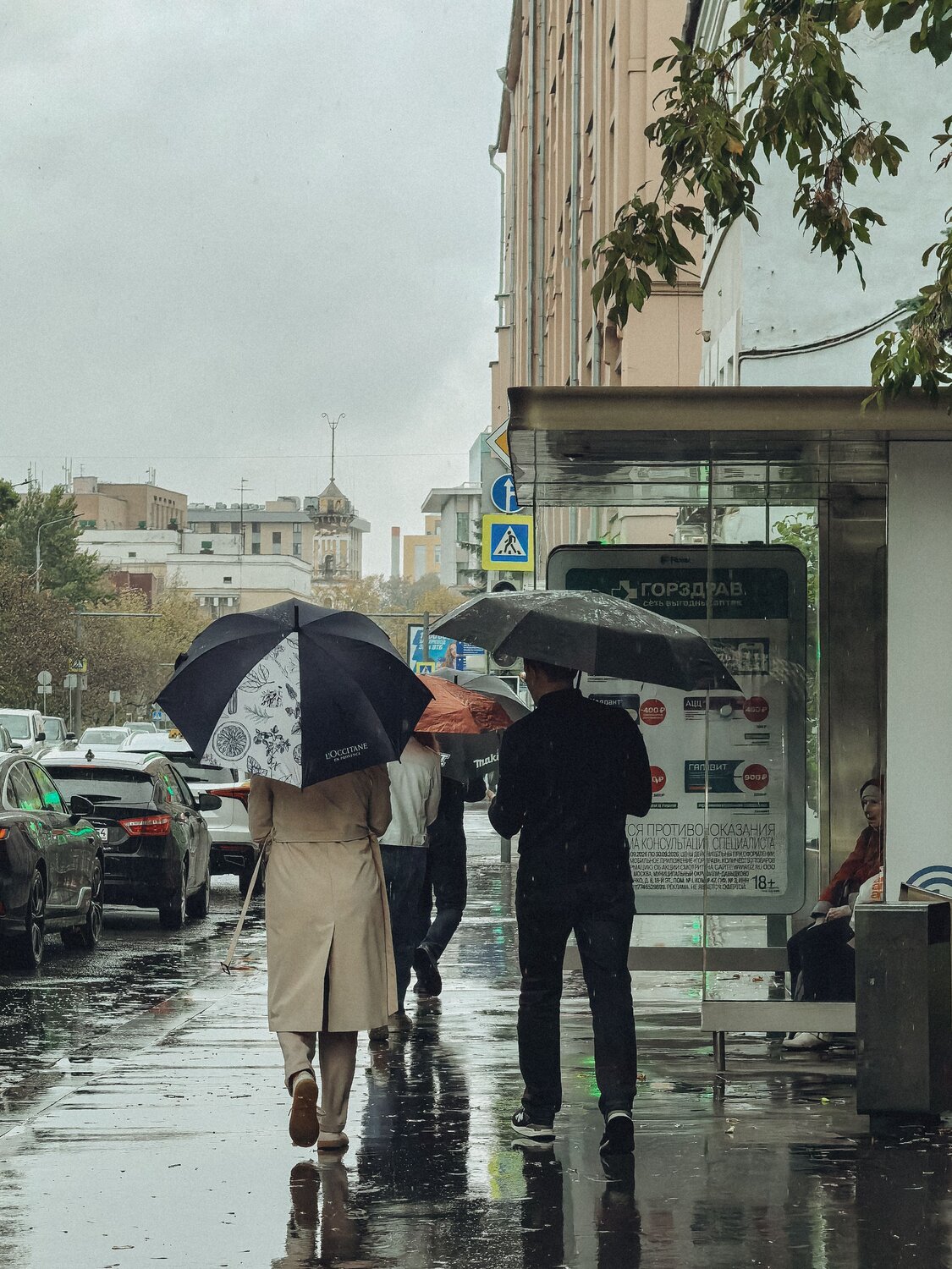 Фотография #14182794