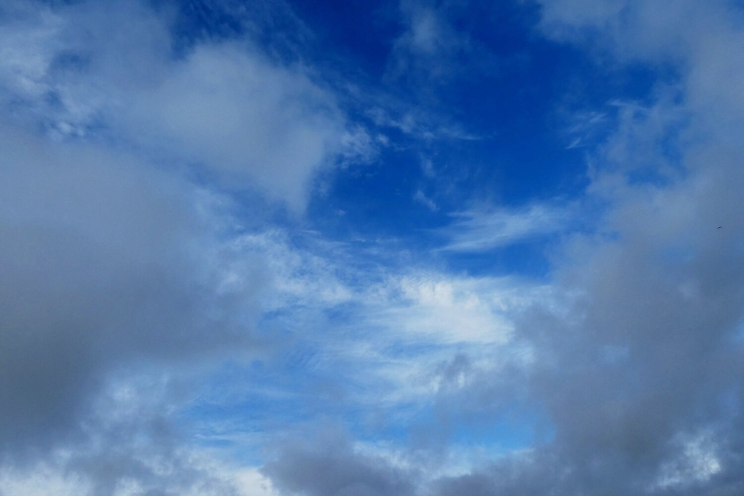 Photo #14183093
