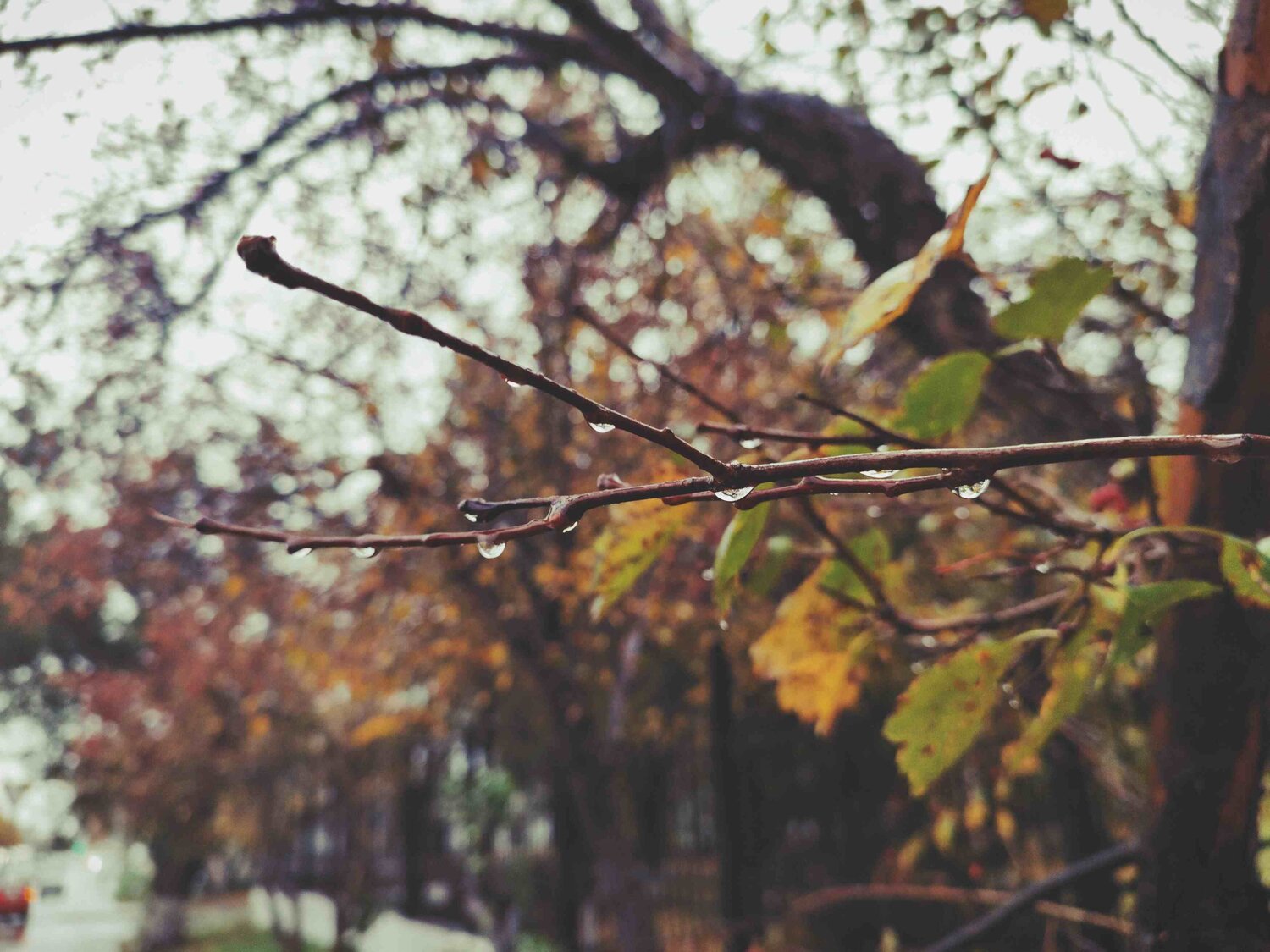 Фотография #14183543