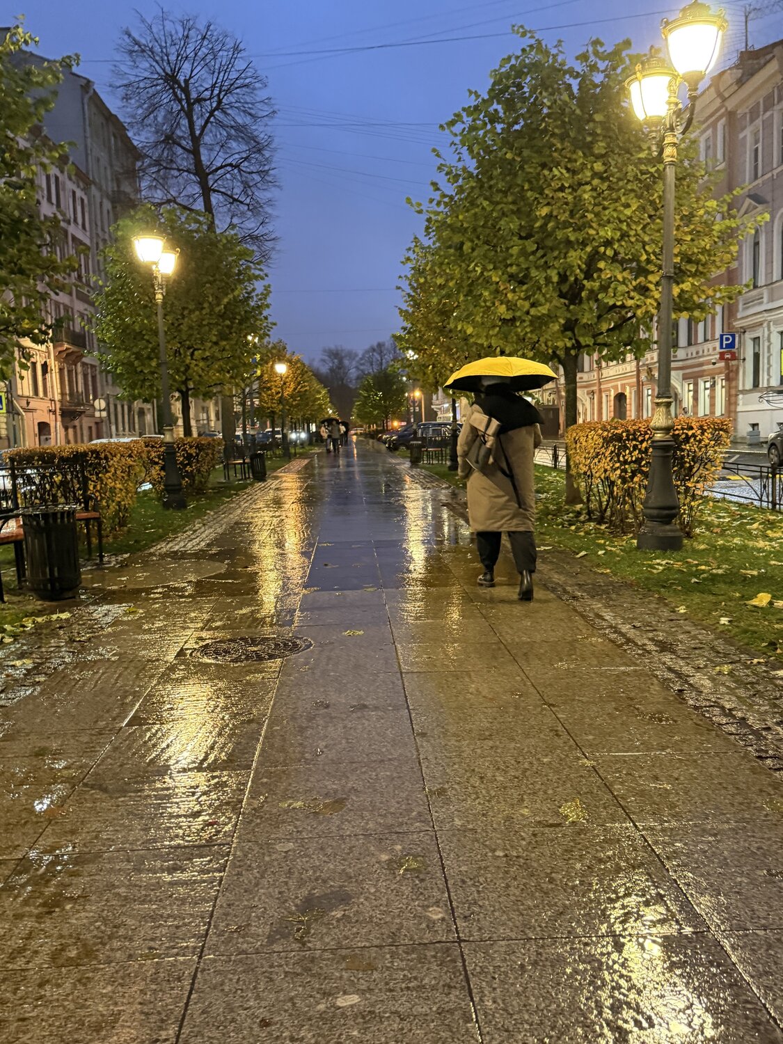 Photo #14183758