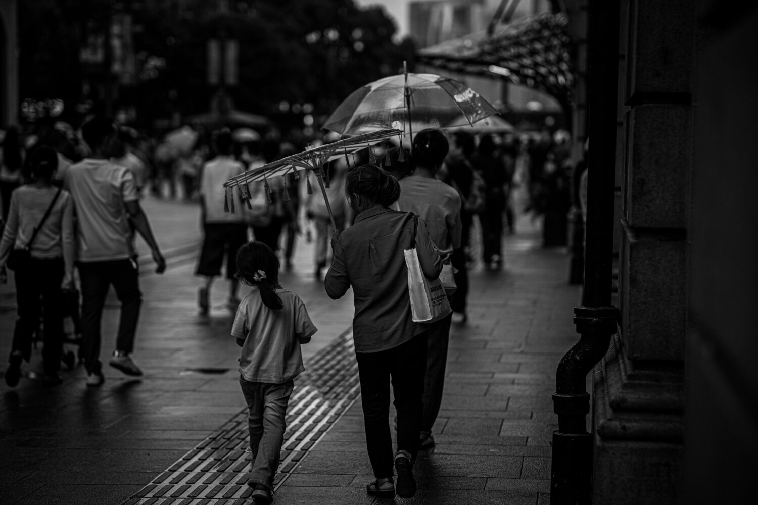 Photo #14183798