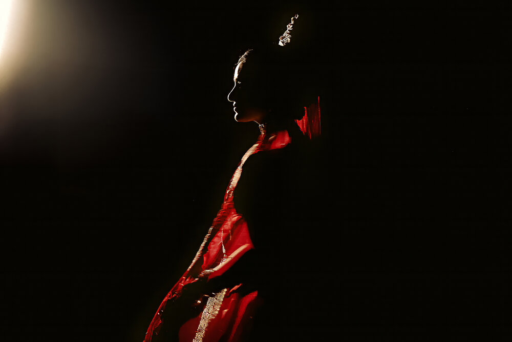 Crimson Silhouette