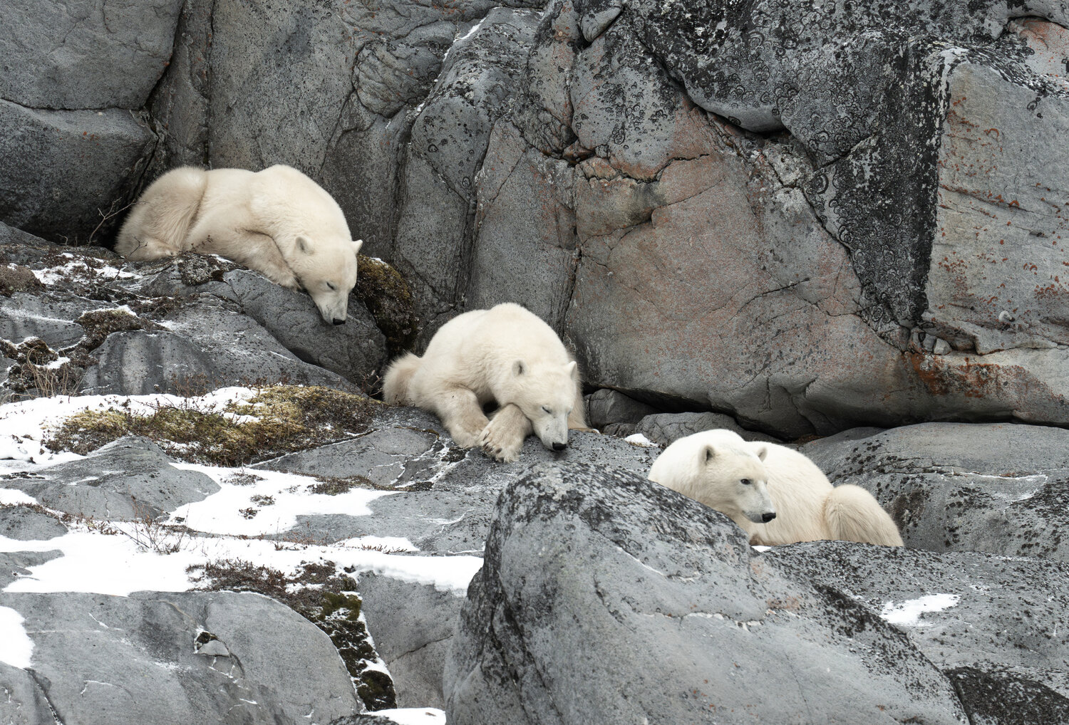 Photo #14184238