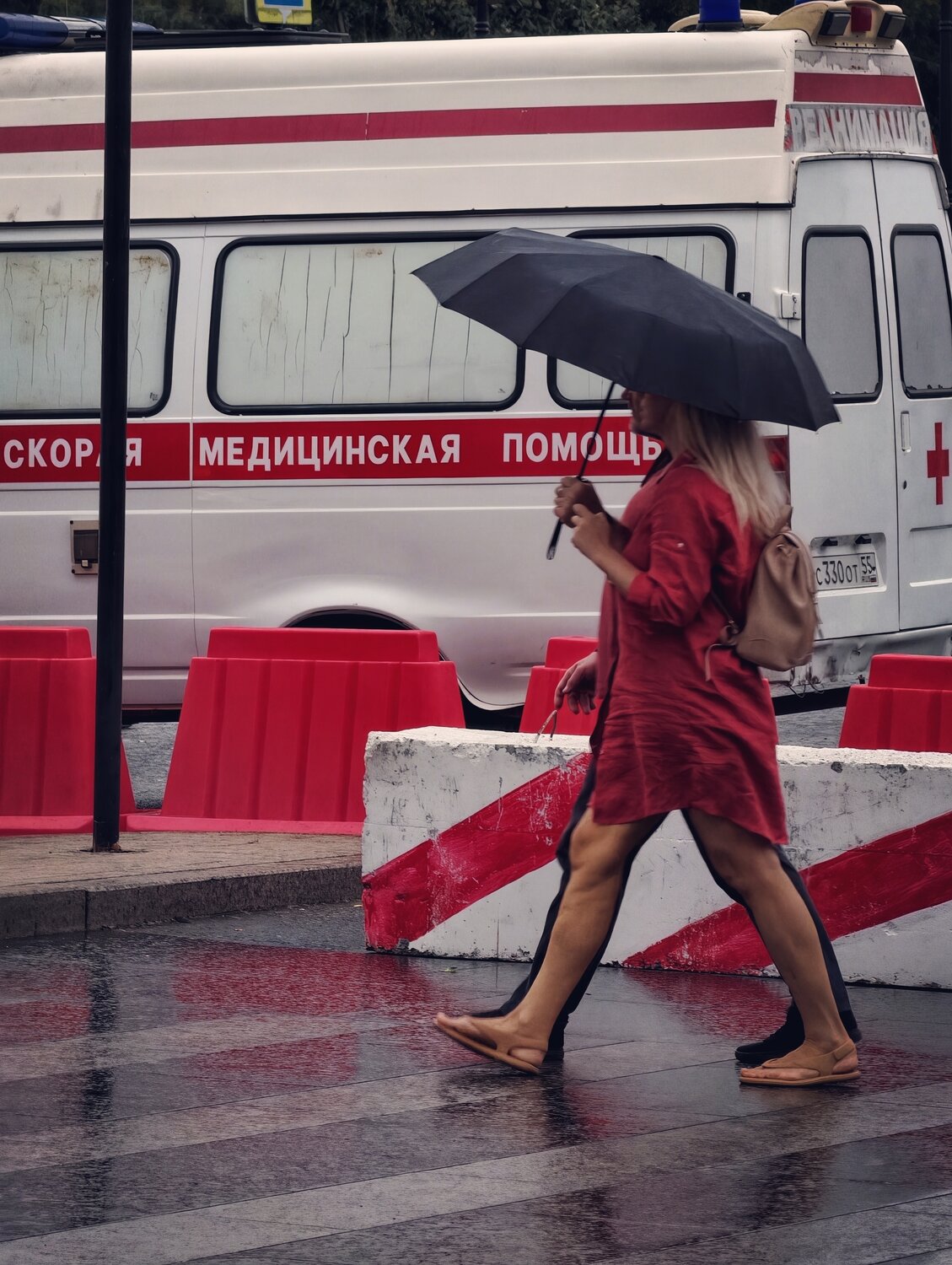 Фотография #14184482