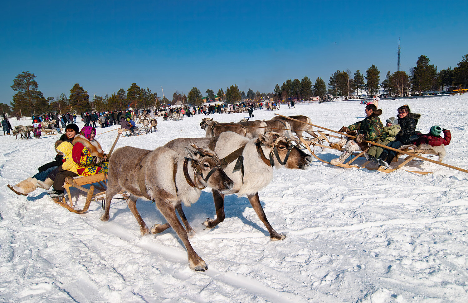 Photo #14184660