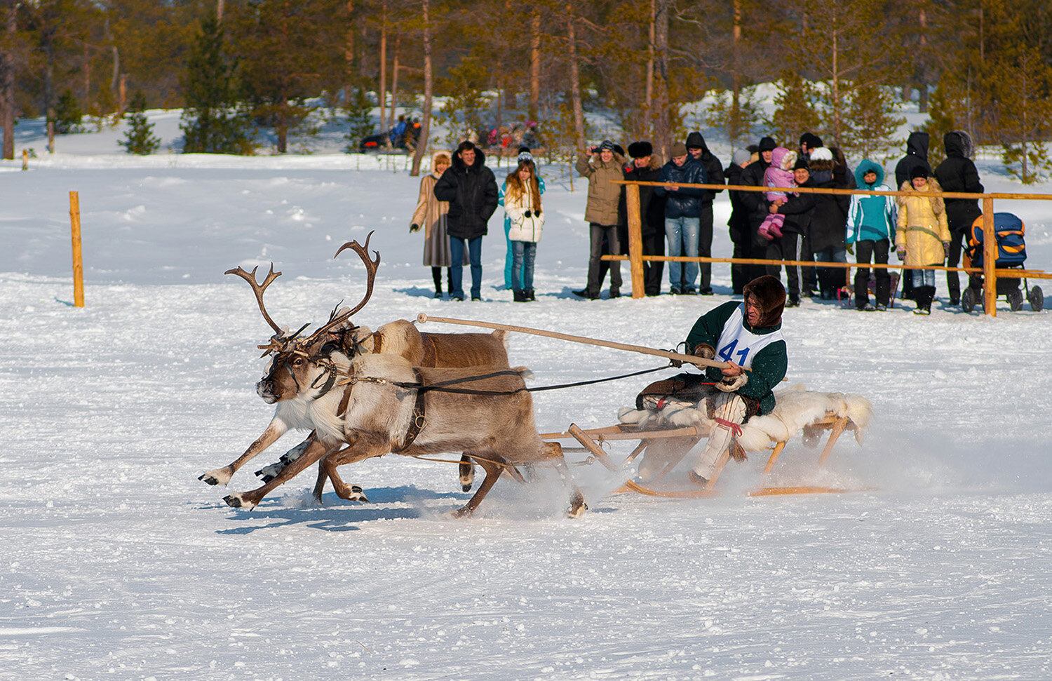 Photo #14184687