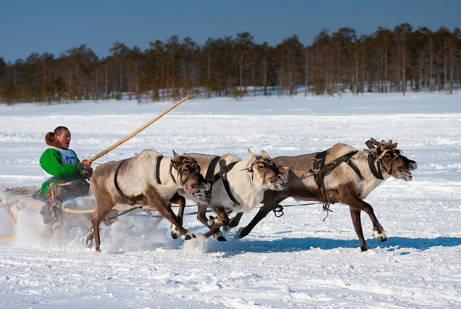 Photo #14184788