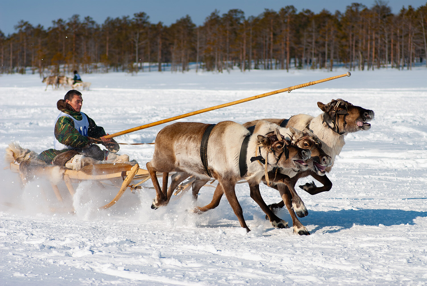 Photo #14184890